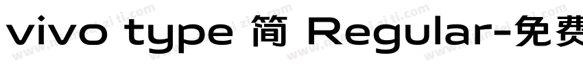 vivo type 简 Regular字体转换